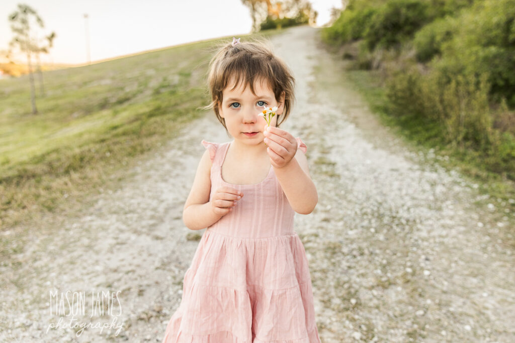 Sarasota Photographer 