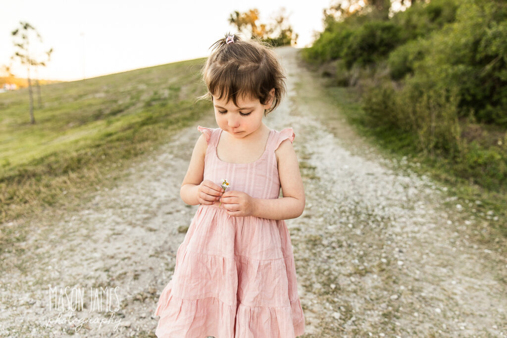 Sarasota Photographer 