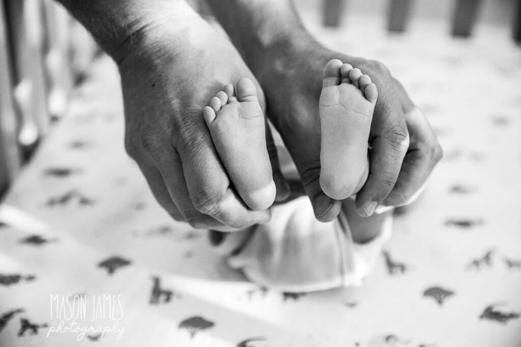 Sarasota Newborn Photographer 