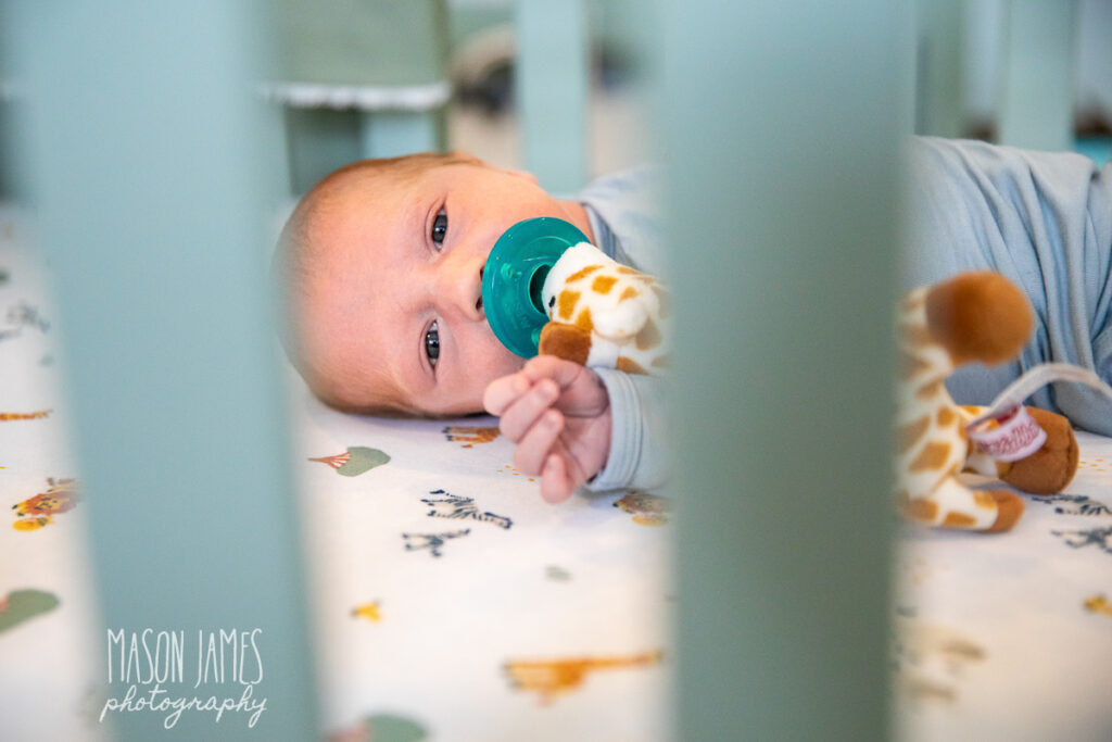 Sarasota Newborn Photographer 