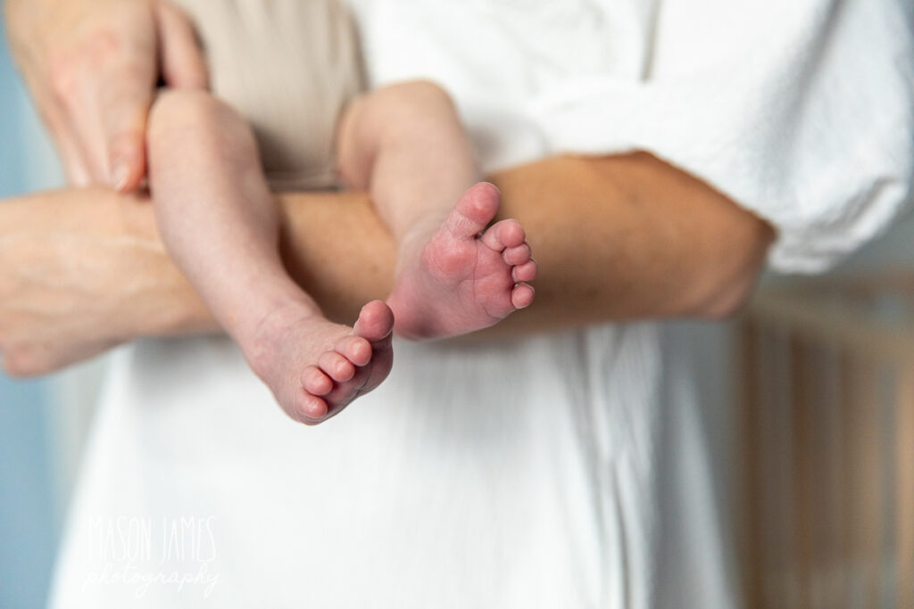 Sarasota Newborn Photographer 