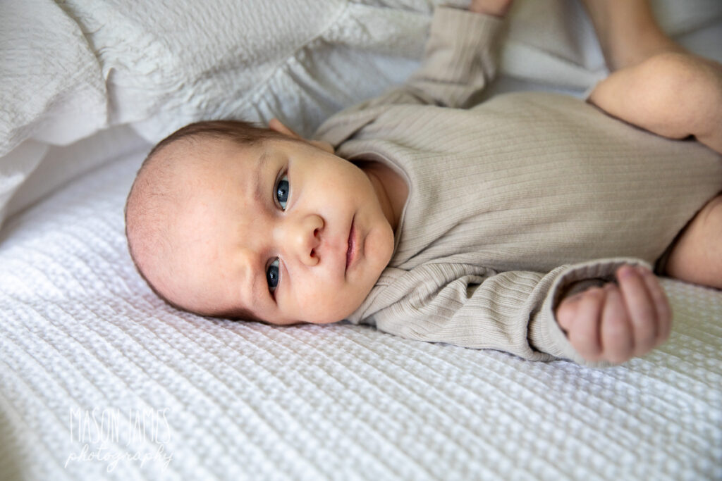 Sarasota Newborn Photographer 