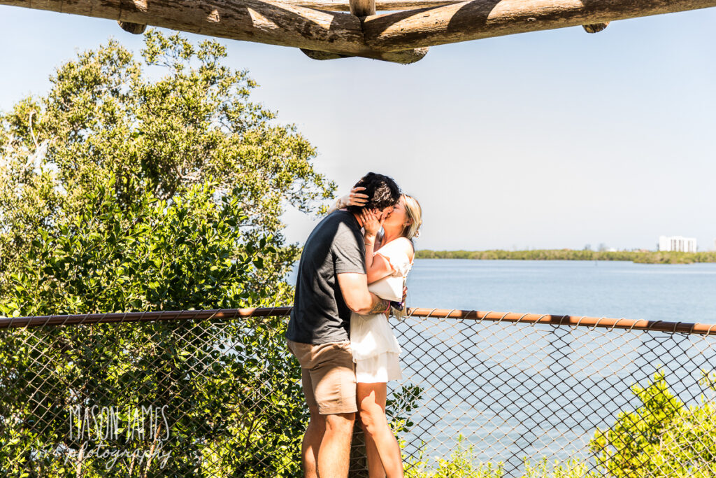 Sarasota Photographer 