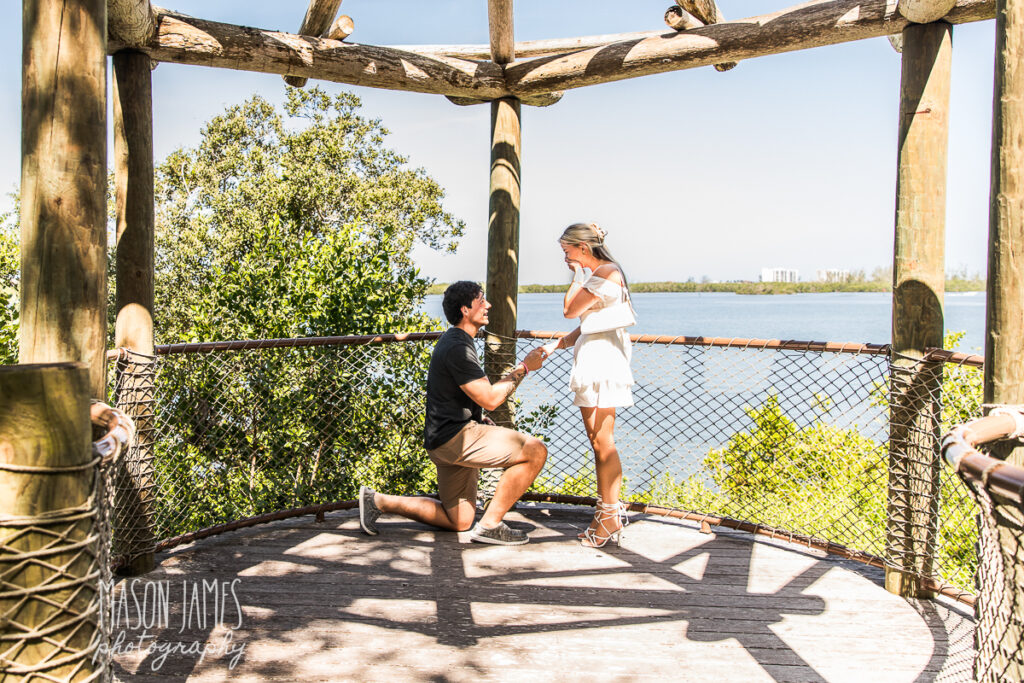 Sarasota Photographer 