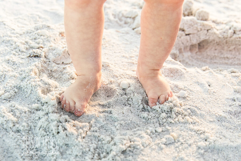 Sarasota Photographer 