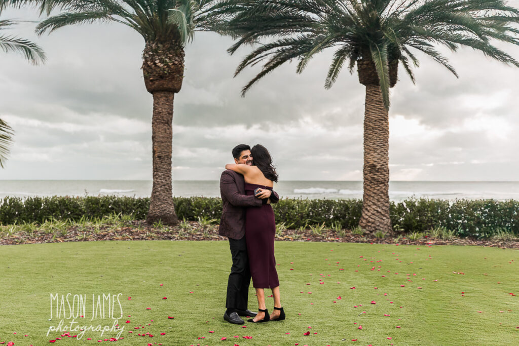 Sarasota Photographer 