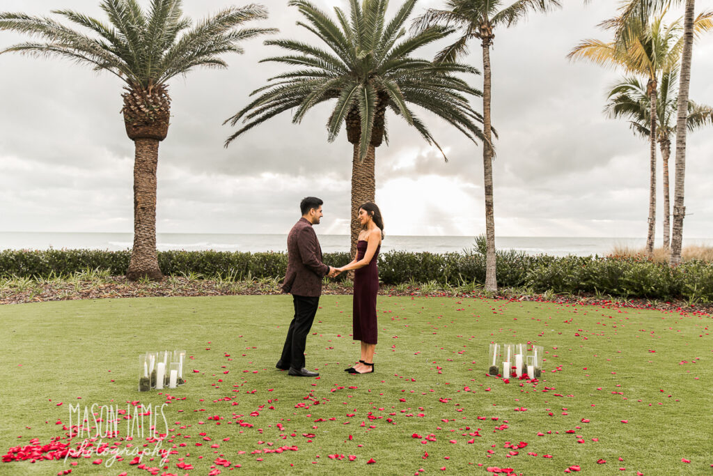 Sarasota Photographer 