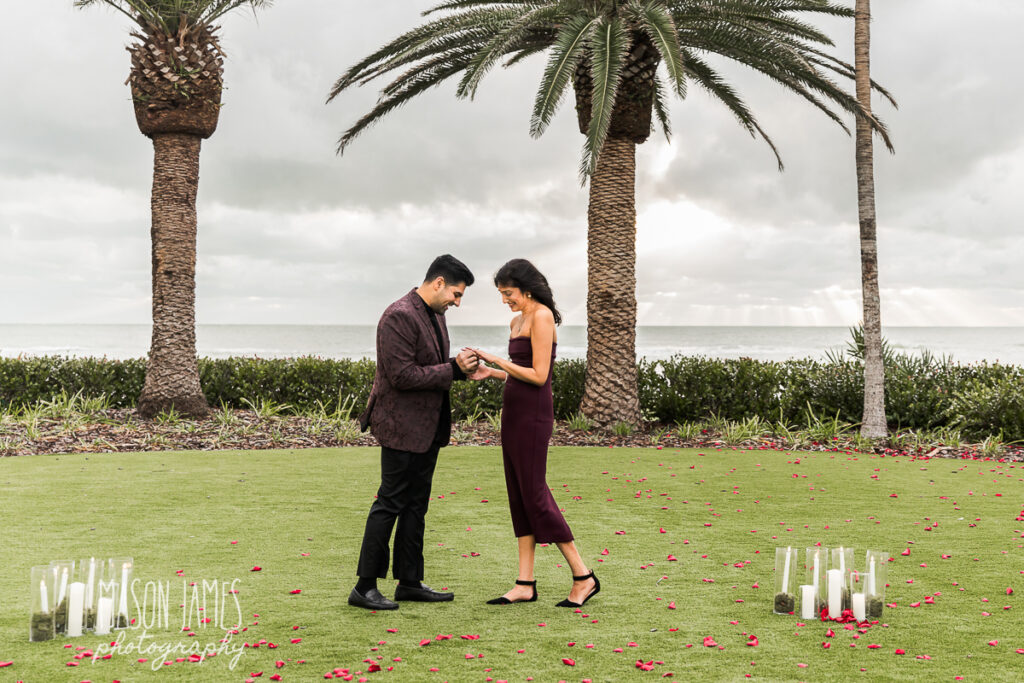 Sarasota Photographer 