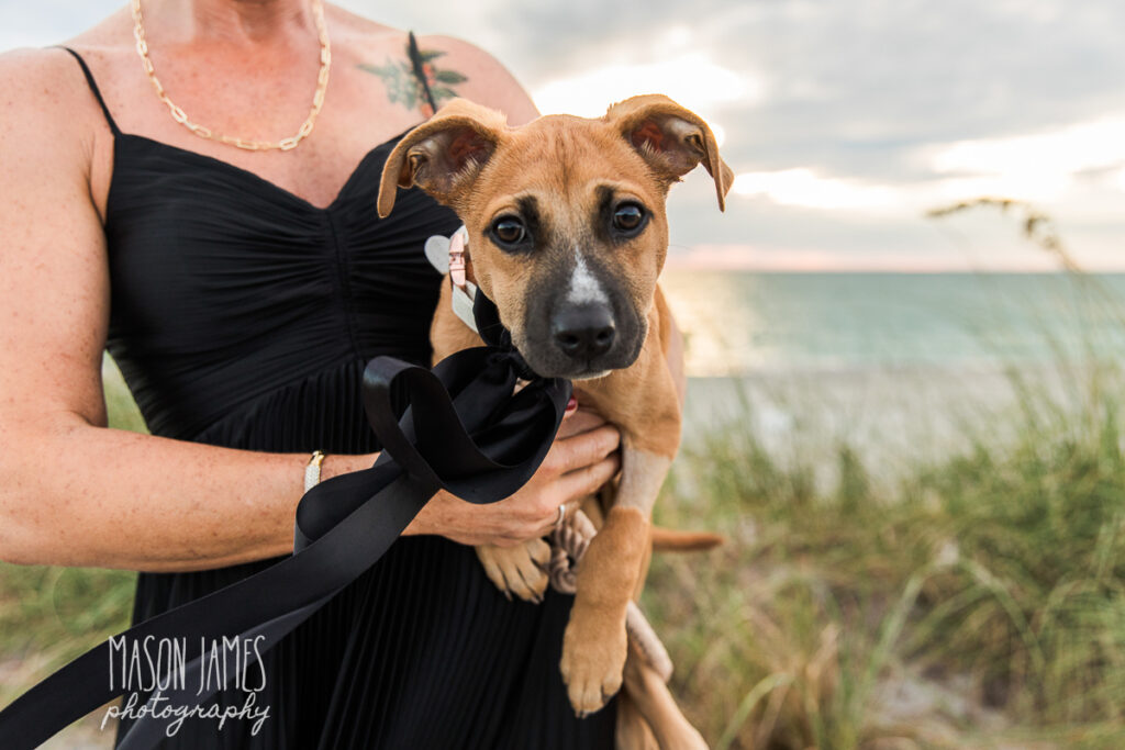 Sarasota Photographer