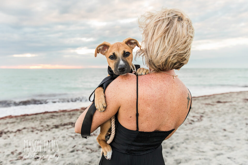 Sarasota Photographer